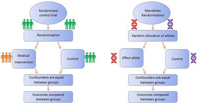 Use of Mendelian Randomization for Identifying Risk Factors for Brain Tumors